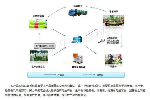 智慧農業物聯網系統 賦能現代農業，提升生產效率與綜合收益